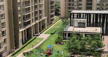  Plot For Resale in Sector 15 ii Gurgaon 6084471
