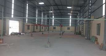 Commercial Warehouse 6200 Sq.Yd. For Rent In Halol Vadodara 6084759
