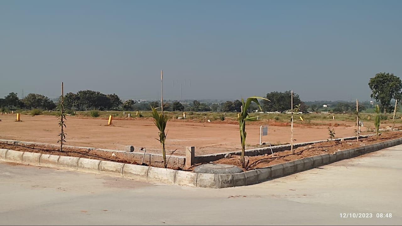 Plot For Resale in Sangareddy Hyderabad  6085254