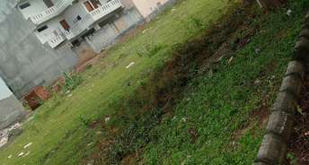  Plot For Resale in Sector 76 Faridabad 6085421