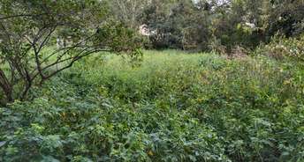  Plot For Resale in West Marredpally Hyderabad 6085726
