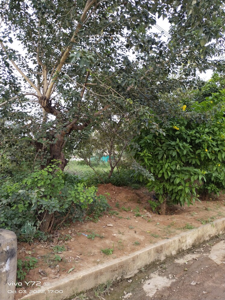 900 Sq.Yd. Plot in Shamshabad Hyderabad