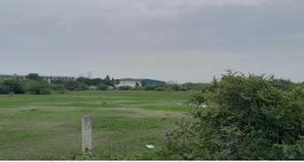 Commercial Industrial Plot 10000 Sq.Yd. For Rent In Bavla Ahmedabad 6086534