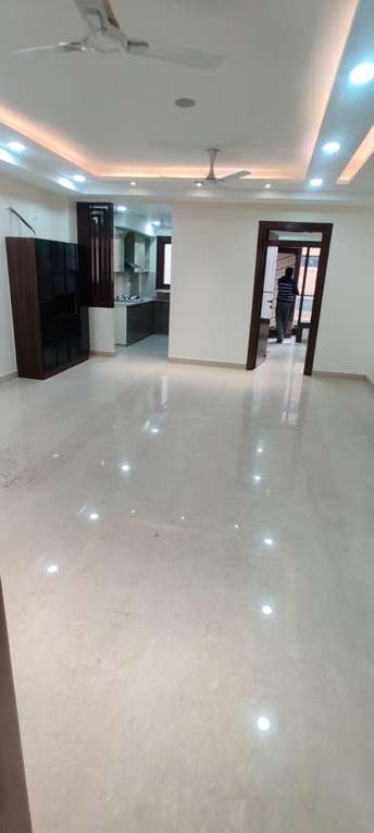 3 BHK Builder Floor For Resale in Preet Vihar Delhi 6086716
