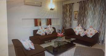 3 BHK Builder Floor For Rent in Greater Kailash I Delhi 6086722