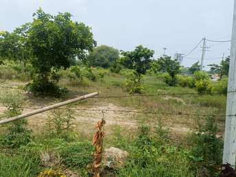 Plot For Resale in Ansal  Sushant City Sonipat Sector 61 Sonipat  6086745