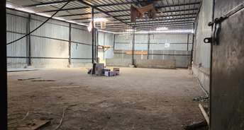 Commercial Warehouse 4300 Sq.Yd. For Rent In Sankhyad Vadodara 6087114