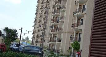 2 BHK Apartment For Rent in Signature Global The Millennia Phase 1 Sector 37d Gurgaon 6087436