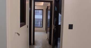 3 BHK Builder Floor For Rent in RWA Kalkaji Block E Kalkaji Delhi 6087530