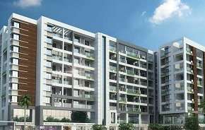 3 BHK Apartment For Rent in A.V.Bhat Oakwoods Apartment Viman Nagar Pune 6088558