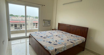 1 BHK Builder Floor For Rent in DLF Exclusive Floors Owners Society Sector 53 Gurgaon 6088782