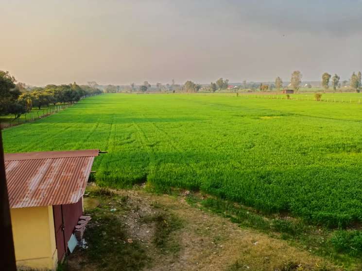 Shankarpur Green