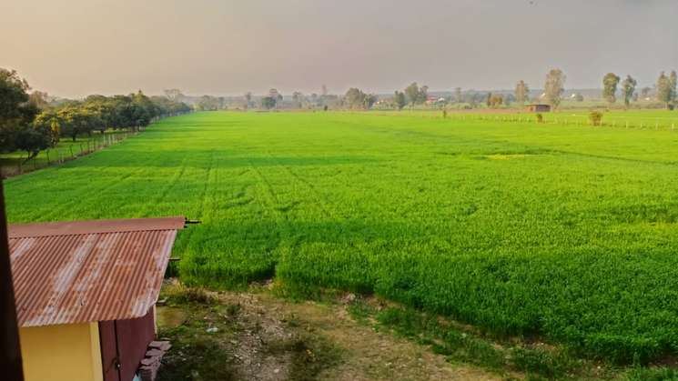 Shankarpur Green