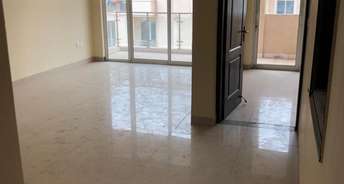 2 BHK Builder Floor For Resale in Ardee City Sector 52 Gurgaon 6089978
