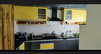 4 BHK Apartment For Rent in Fortune  Enclave  Banjara Hills Hyderabad 6092533