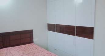 2 BHK Apartment For Rent in Sector 115 Mohali 6092530
