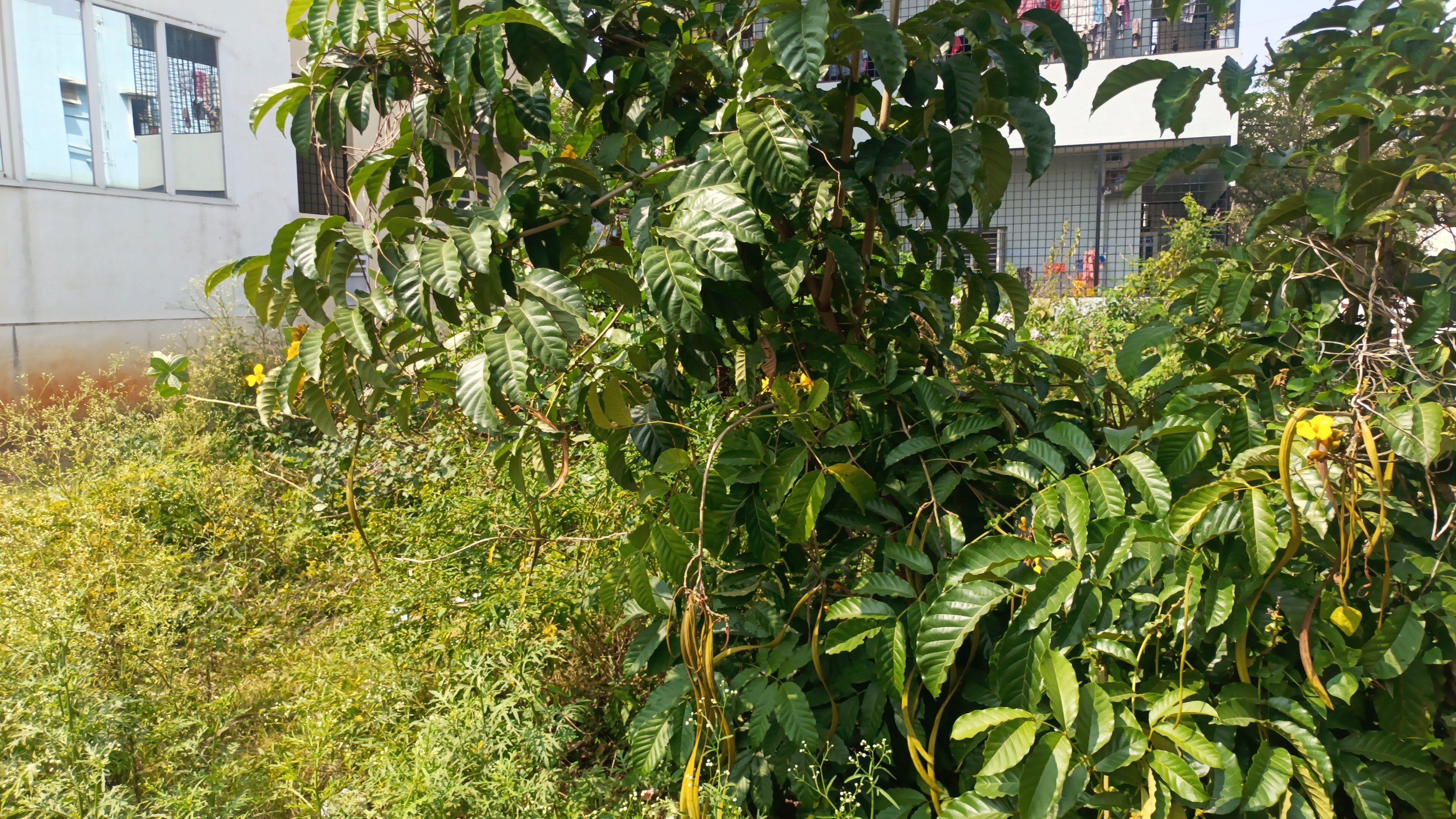 Resale 1200 Sq.Ft. Plot in Uttarahalli Bangalore 6092571