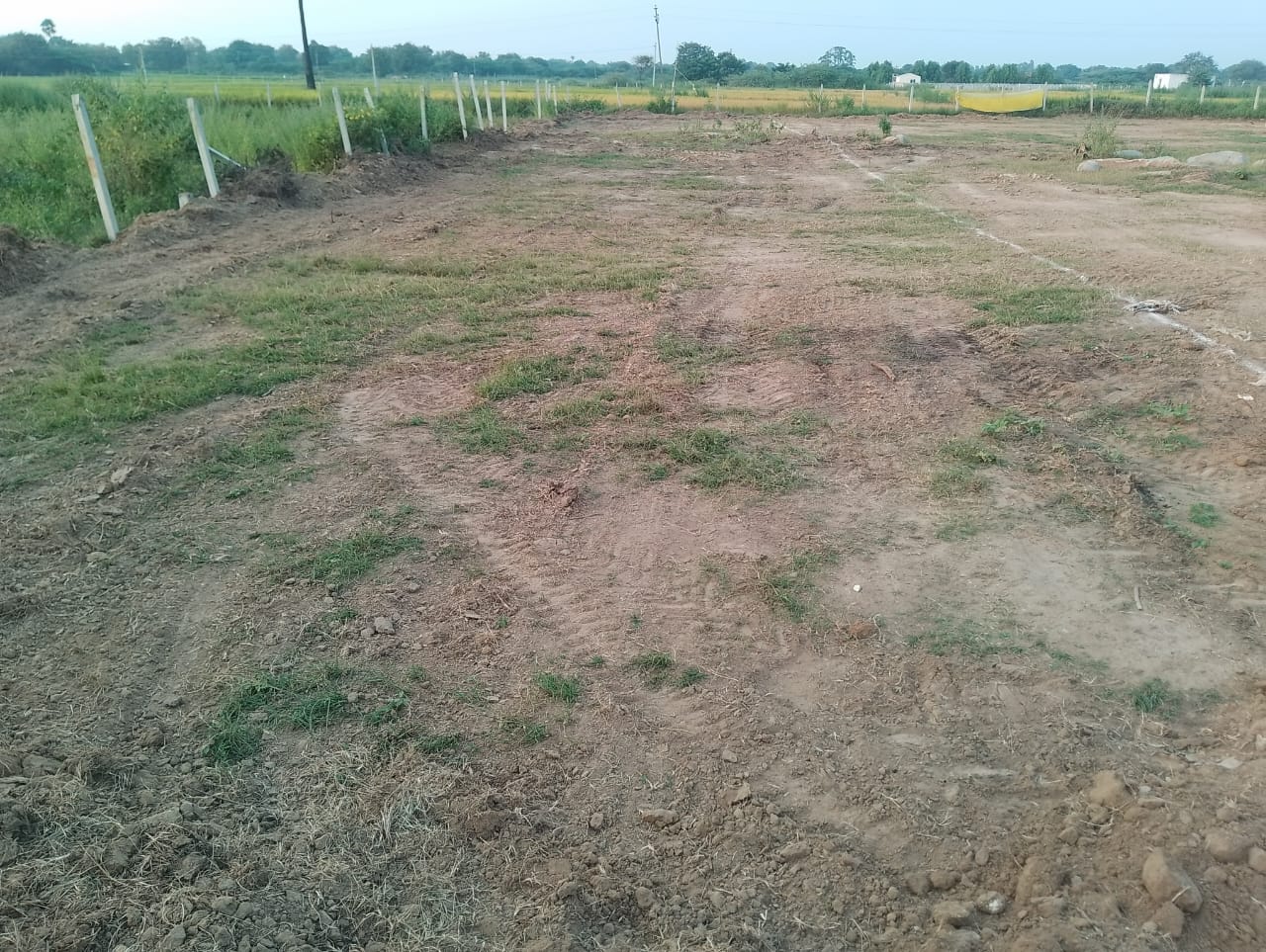  Plot For Resale in Ismailkhanpet Hyderabad 6092922