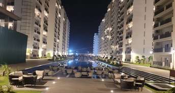 2 BHK Apartment For Rent in Central Park 3 Flower Valley Sohna Sector 33 Gurgaon 6093692