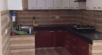 5 BHK Independent House For Rent in RWA Apartments Sector 108 Sector 108 Noida 6094244