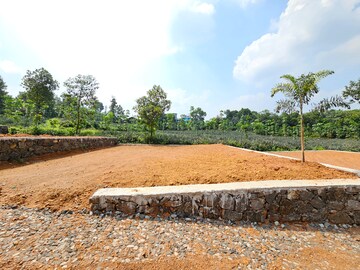 Plot For Resale in Karingachira Kochi  6094514