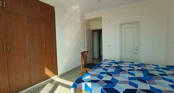 3 BHK Apartment For Rent in Patiala Road Zirakpur 6094743