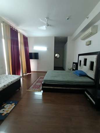 3.5 BHK Apartment For Rent in Ireo Victory Valley Sector 67 Gurgaon 6095967