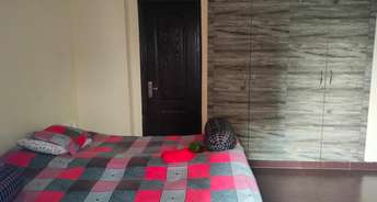 2 BHK Apartment For Rent in Panchsheel Greens II Noida Ext Sector 16 Greater Noida 6096582