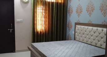 3 BHK Apartment For Rent in Dhawas Jaipur 6097305