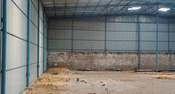 Commercial Warehouse 13000 Sq.Ft. For Rent In Ecotech 1 Extension Greater Noida 6097588