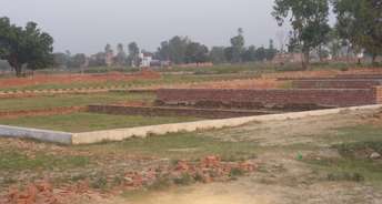 Commercial Land 2000 Sq.Ft. For Resale In Faizabad Road Lucknow 6097629