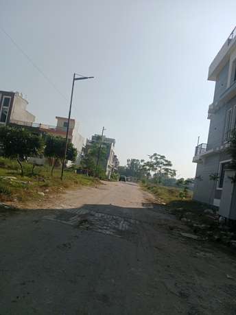  Plot For Resale in Sector 14 Chandigarh 6088736