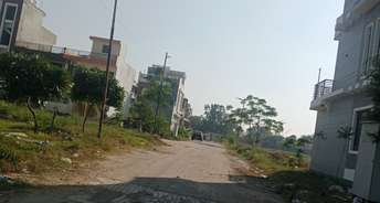  Plot For Resale in Sector 14 Chandigarh 6088736