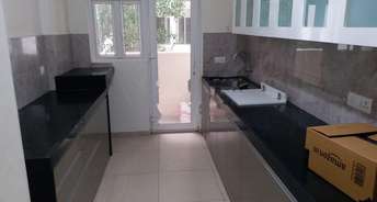 2.5 BHK Apartment For Rent in Kabra Primera Juhu Mumbai 6098674