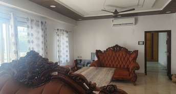 3 BHK Apartment For Rent in Banjara Hills Hyderabad 6101532