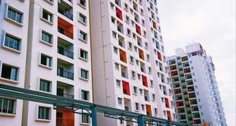 1 BHK Apartment For Rent in Svamitva Emerald Square Bommasandra Bangalore 6105061