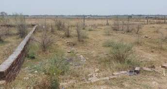  Plot For Resale in Allahabad Allahabad 6106185