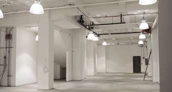 Commercial Shop 235 Sq.Ft. For Rent In Sector 47 Gurgaon 6106483