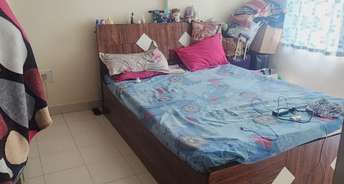 1 BHK Apartment For Rent in Viman Nagar Pune 6108829