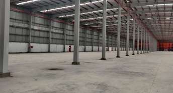 Commercial Warehouse 250000 Sq.Ft. For Rent In Taloja Midc Navi Mumbai 6109231