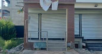 Commercial Showroom 810 Sq.Ft. For Rent In Sector 117 Mohali 6109870