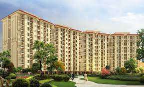 3 BHK Apartment For Resale in Shalimar Mannat Faizabad Road Lucknow 6110128