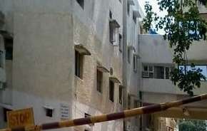 1 BHK Apartment For Rent in Shivalik Apartments RWA Alaknanda Alaknanda Delhi 6110147
