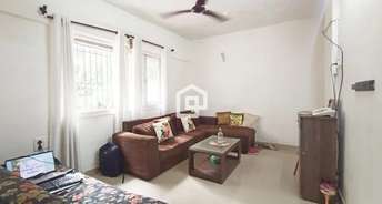 1 BHK Apartment For Rent in Regency Apartment Andheri West Mumbai 6110305