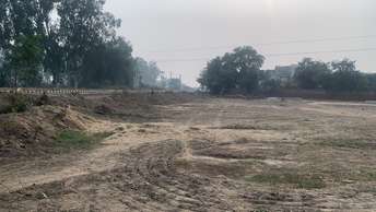  Plot For Resale in Sector 9 Gurgaon 6110716