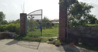 Plot For Resale in RWA Apartments Sector 21 Sector 21 Noida 6110820