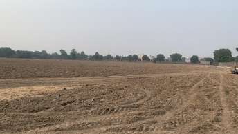  Plot For Resale in South City 1 Gurgaon 6111050
