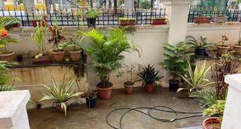 3 BHK Builder Floor For Rent in Cunningham Road Bangalore 6111354