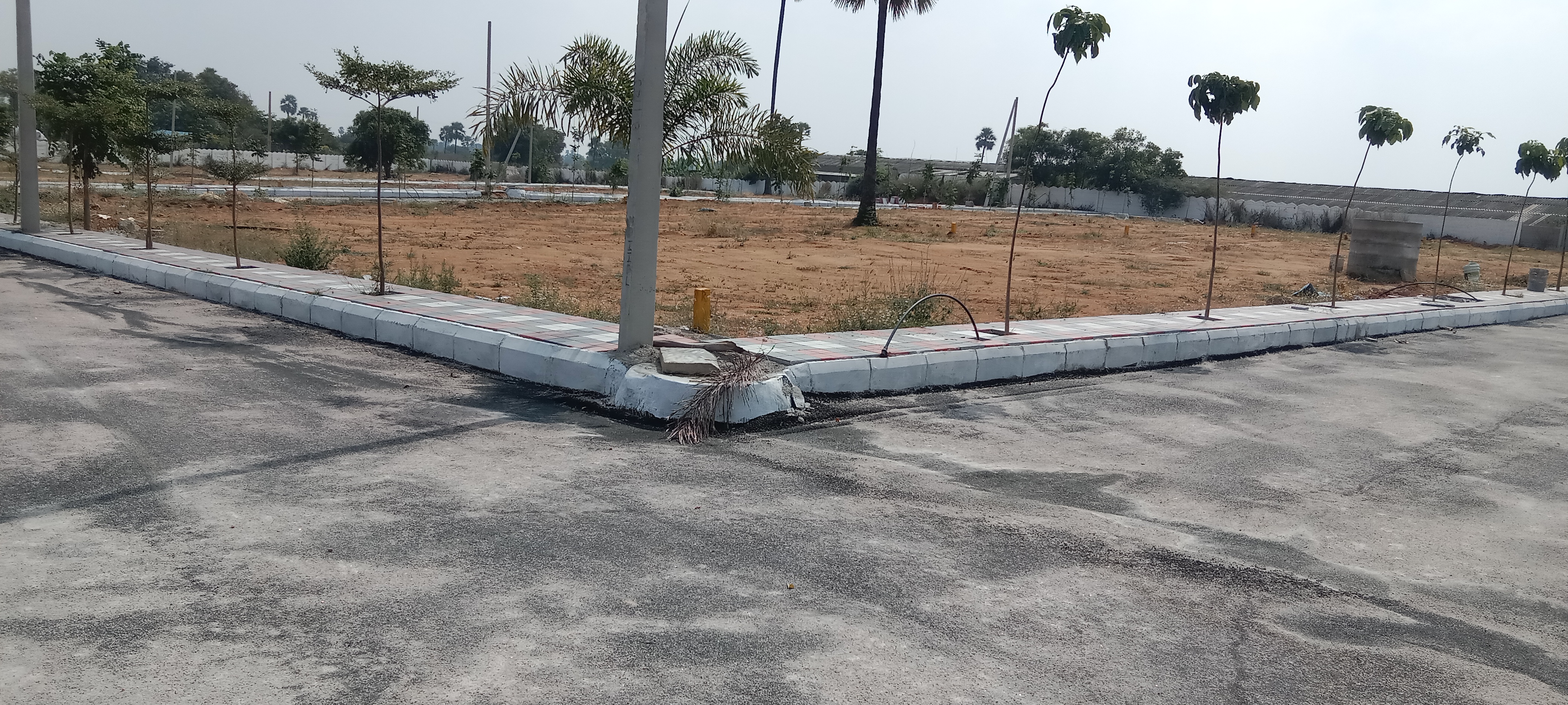 Plot For Resale in Mallapur Hyderabad  6111370