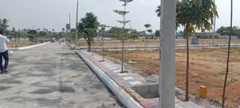  Plot For Resale in Chintalakunta Hyderabad 6111554